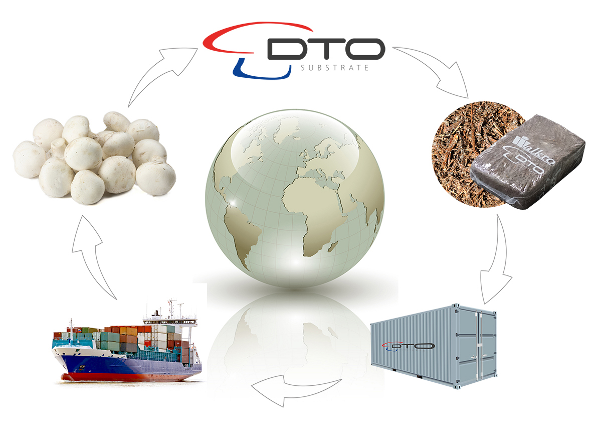 DTO supply chain